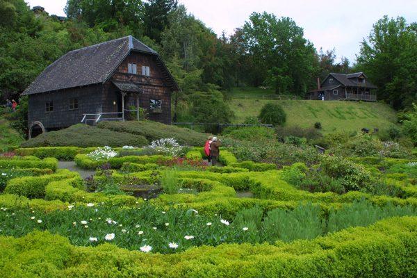 Excursión Frutillar y Puerto Octay